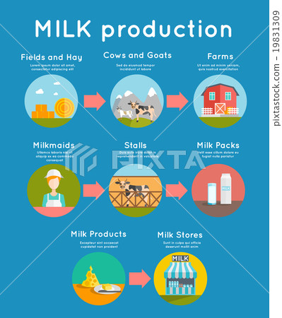 Milk flat concept 19831309
