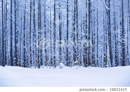 Winter landscape 1 Winter landscape 1 19831425