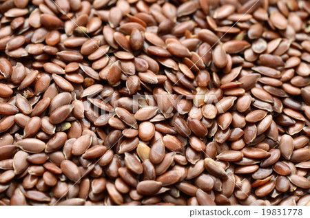 Organic Flax seed 19831778