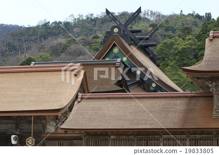 Izumo Taisha Izumo Taisha 19833805