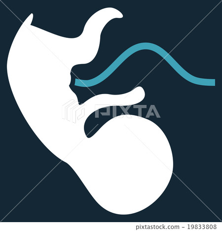 Ape Embryo Icon Ape Embryo Icon 19833808