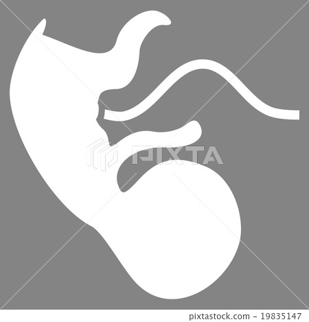 Ape Embryo Vector Icon Ape Embryo Vector Icon 19835147