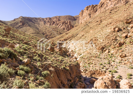 Todra Canyon of Kasbah Road Todra Canyon of Kasbah Road 19836925