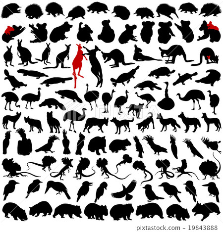 Hundred silhouettes of animals from Australia Hundred silhouettes of animals from Australia 19843888