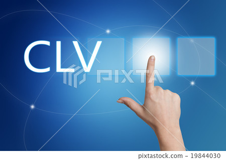 Customer Lifetime Value Customer Lifetime Value 19844030