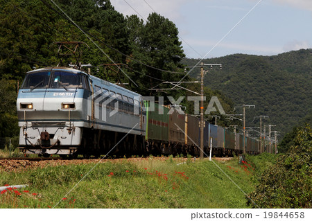 EF 66 100 series container freight train 19844658