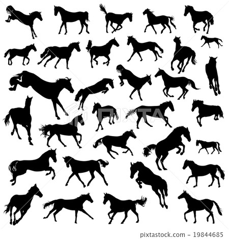 Collection of silhouettes of 32 galloping horses 19844685