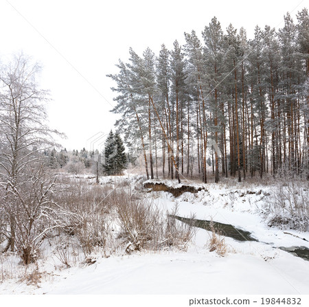 winter landscape with forest and river, panorama winter landscape with forest and river, panorama 19844832