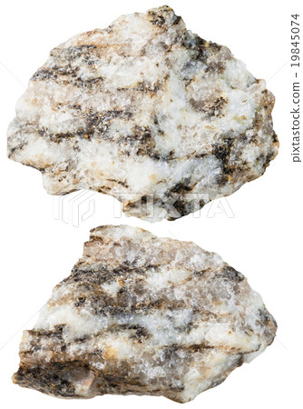 two pieces of Gneiss mineral stone isolated 19845074