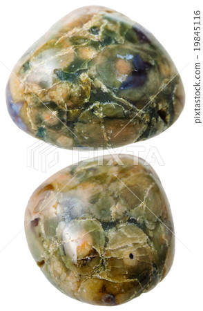 two Green Rhyolite (Rainforest Jasper) gemstones 19845116