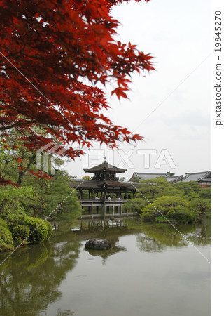 Heian Shrine 19845270