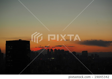 東京的夜景 19845342