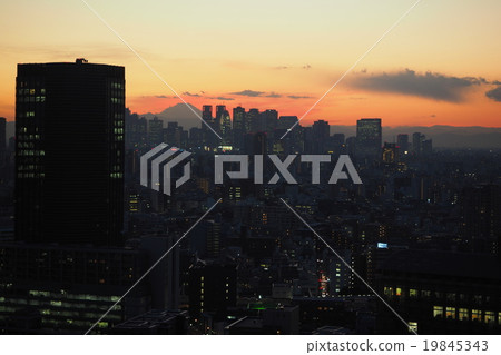 東京的夜景 東京的夜景 19845343
