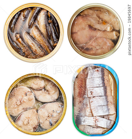 set on canned fish in open tins isolated on white set on canned fish in open tins isolated on white 19845697