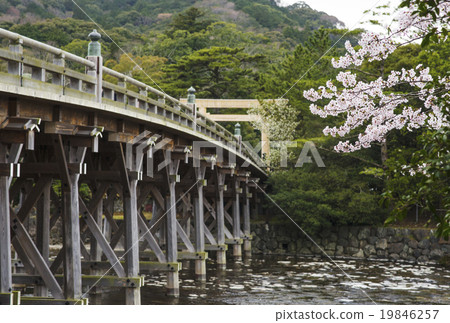 Ise Grand Shrine in spring Scenery of cherry blossoms and Uji Bridge 19846257