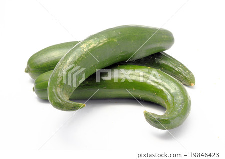彎曲的黃瓜 彎曲的黃瓜 19846423