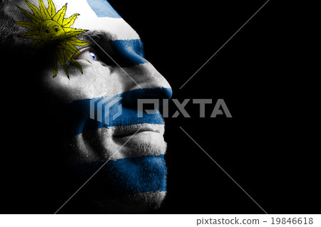 Sports fan - a patriot. 19846618