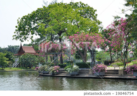 Waterside with tree and waterfront pavilion Waterside with tree and waterfront pavilion 19846754