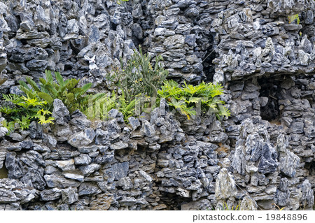 hard landscaping hard landscaping 19848896