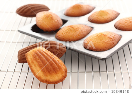 Madeleine新鮮出爐 Madeleine新鮮出爐 19849148