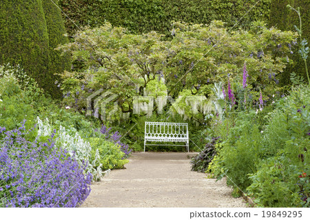 garden flower bench bloom wisteria tree stone path 19849295