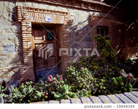 前門有仙人掌 前門有仙人掌 19849384