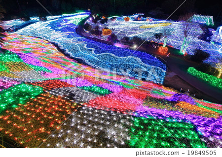 Izu Gourembouru Park Illuminations 19849505