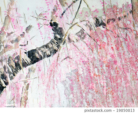 蕨類植物的草圖 蕨類植物的草圖 19850813