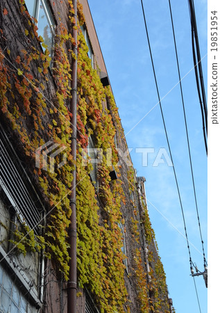Asakusa Asakusa 19851954