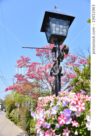 Street light Street light 19852963