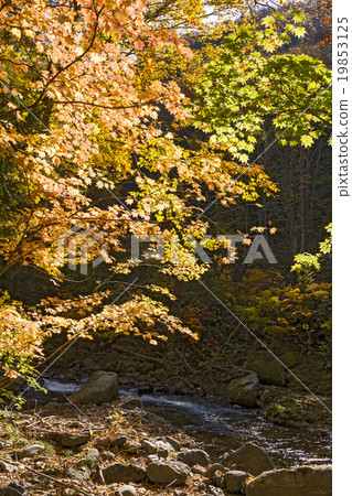 Autumn leaves of Hawt Autumn leaves of Hawt 19853125