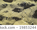 沙灘 19853244