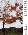 一座山的秋天 19853258