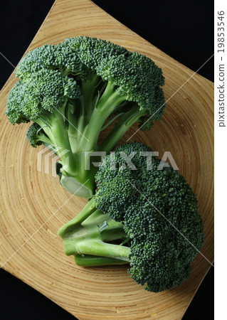 Broccoli Black Background Broccoli Black Background 19853546