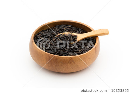 野生稻（Makomo）：野生稻 19853865