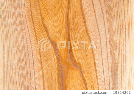 Wood grain of zelkowa 19854261