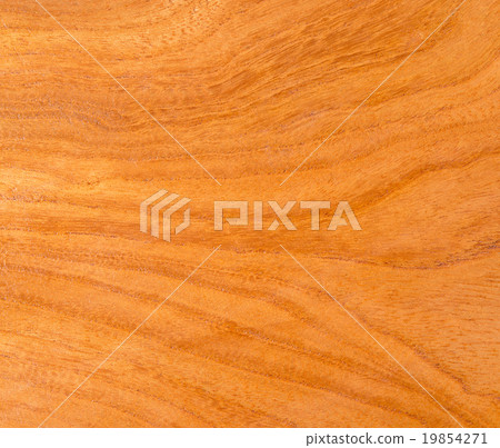 Wood grain of zelkowa 19854271