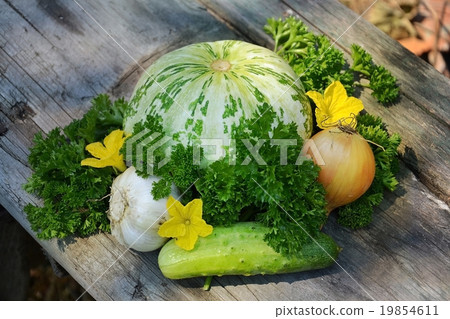 useful vegetables dl your design 3 useful vegetables dl your design 3 19854611