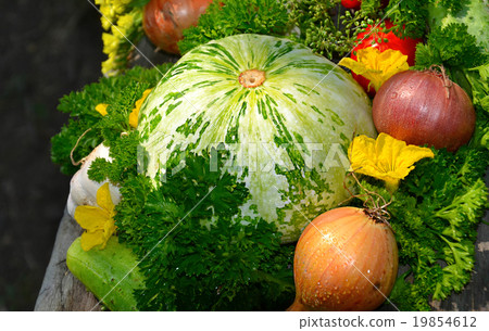 vegetables for your design 2 vegetables for your design 2 19854612