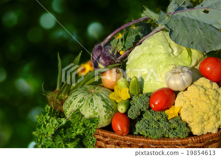 vegetables in basket vegetables in basket 19854613