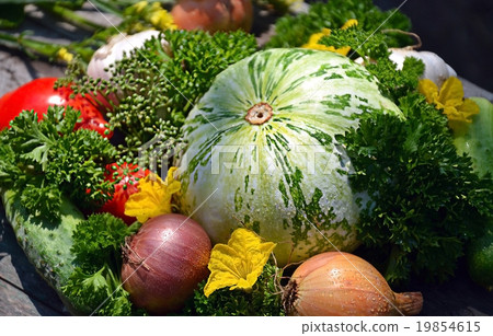 vegetables for your design vegetables for your design 19854615