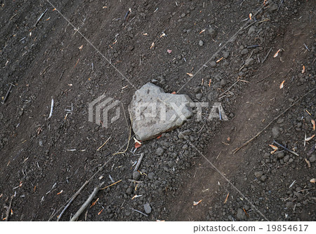stone in the form of heart 19854617