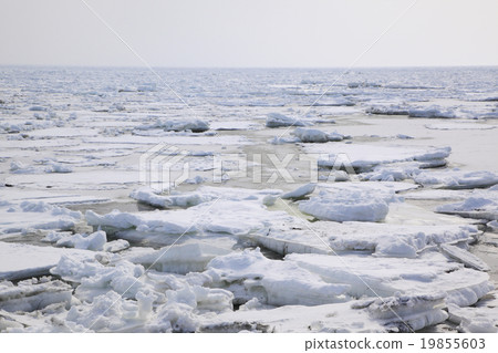 Drift ice 19855603