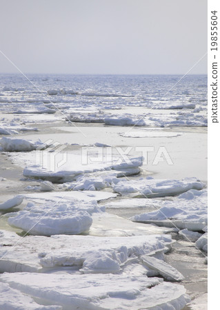Drift ice 19855604