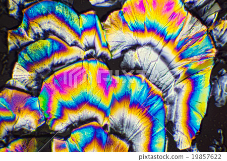 Photomicrograph of crystals of citric acid 19857622