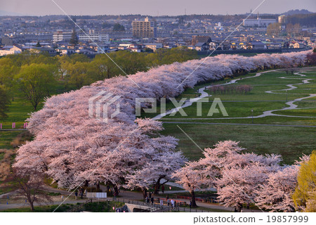 Kitakami Exhibition Katsuchi Kitakami Exhibition Katsuchi 19857999