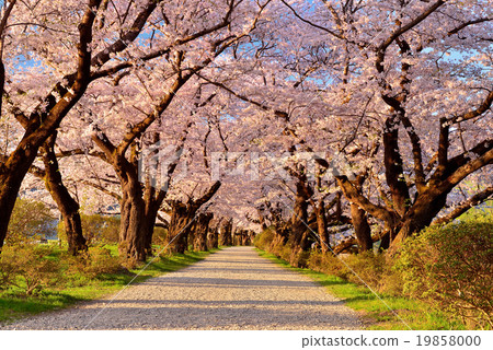 Kitakami Exhibition Katsuchi Kitakami Exhibition Katsuchi 19858000