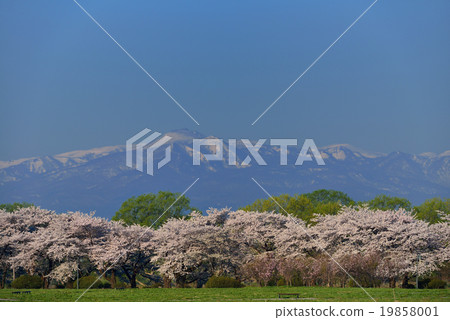 Kitakami Exhibition Katsuchi Kitakami Exhibition Katsuchi 19858001