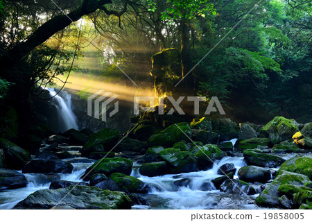 Couple's waterfall 19858005