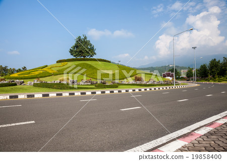 roundabout whit tree roundabout whit tree 19858400